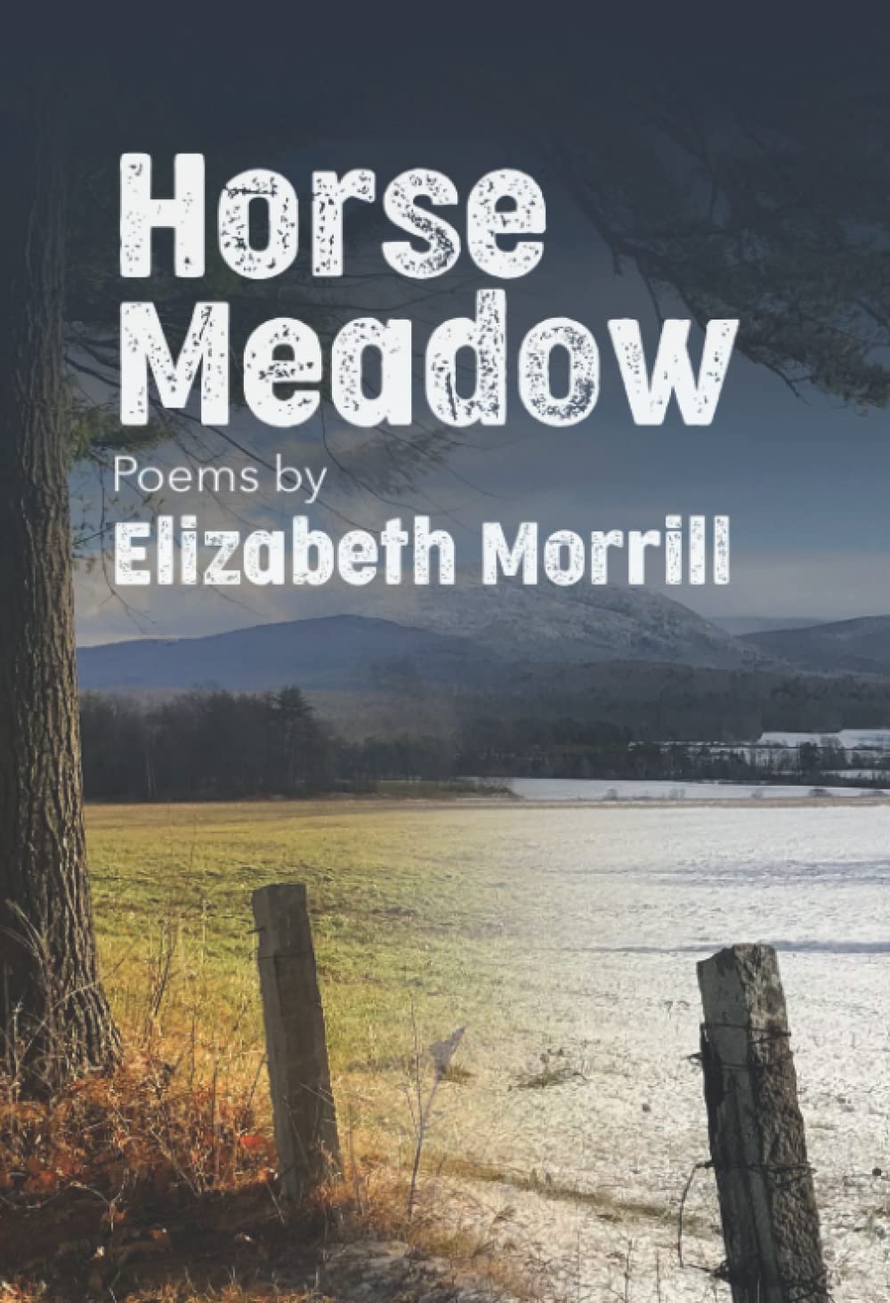 Horse Meadow: Poems by Elizabeth Morrill