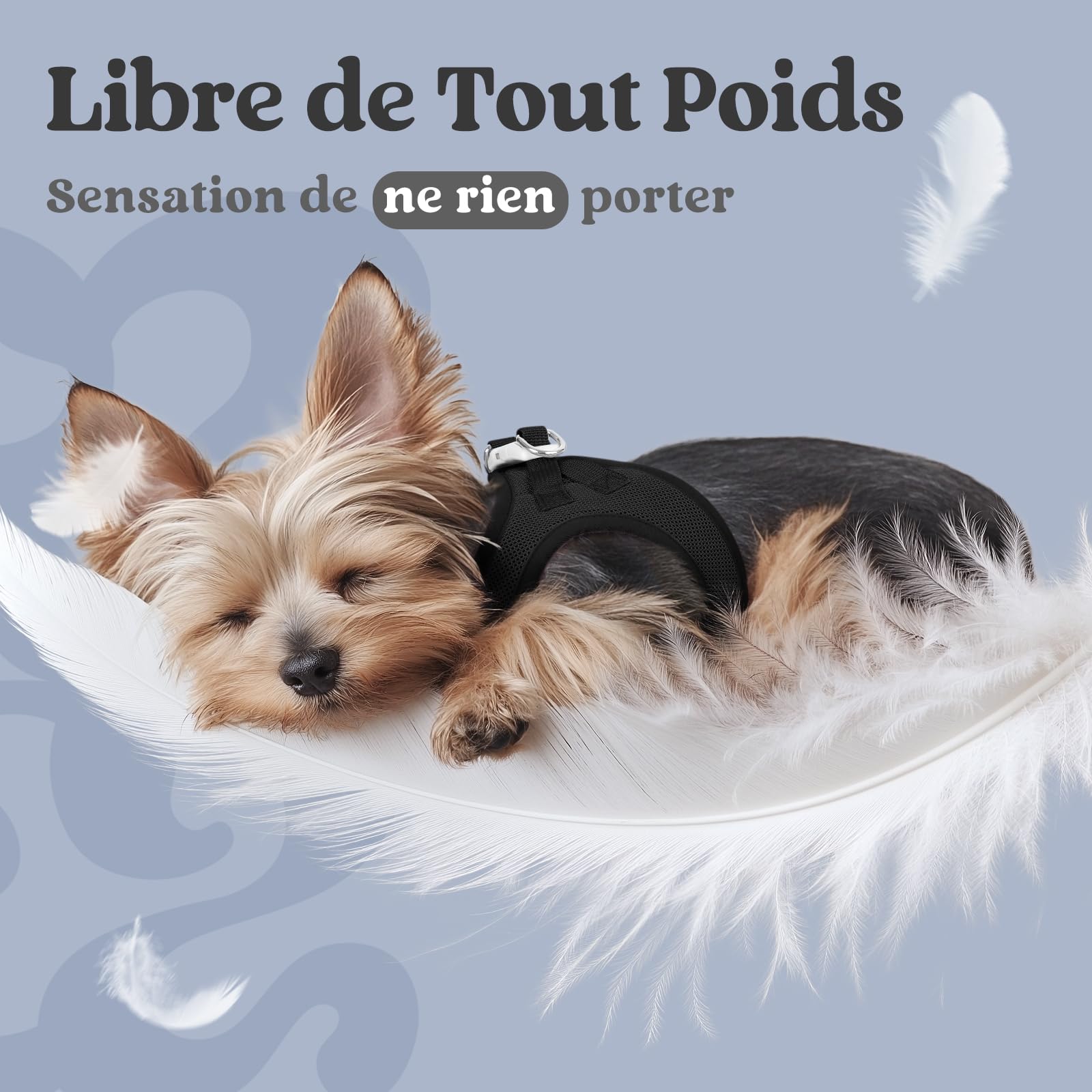 rabbitgoo Harnais Chien Petite Taille Noir S, Harnais Chiot Respirante en Maille Souple, Arnet pour Chien Réfléchissant Facile à Mettre, Gilet Réglable pour Petits et Moyens Chiens pour Marche Course