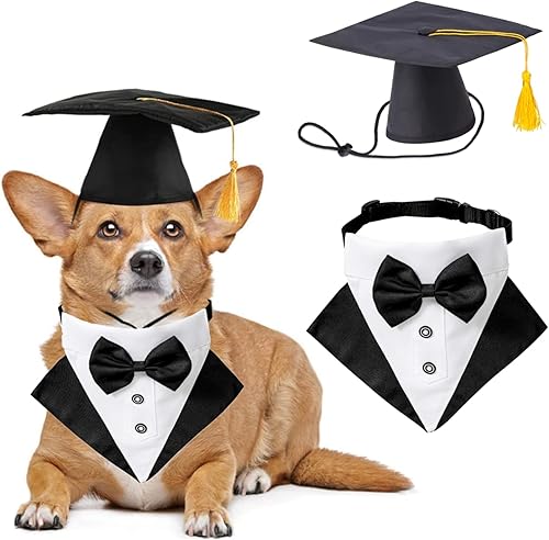 Gorras de graduación para mascotas, juego de collar y sombrero de graduación, accesorio de disfraz de cachorro para perros, gatos, ropa de corbatín