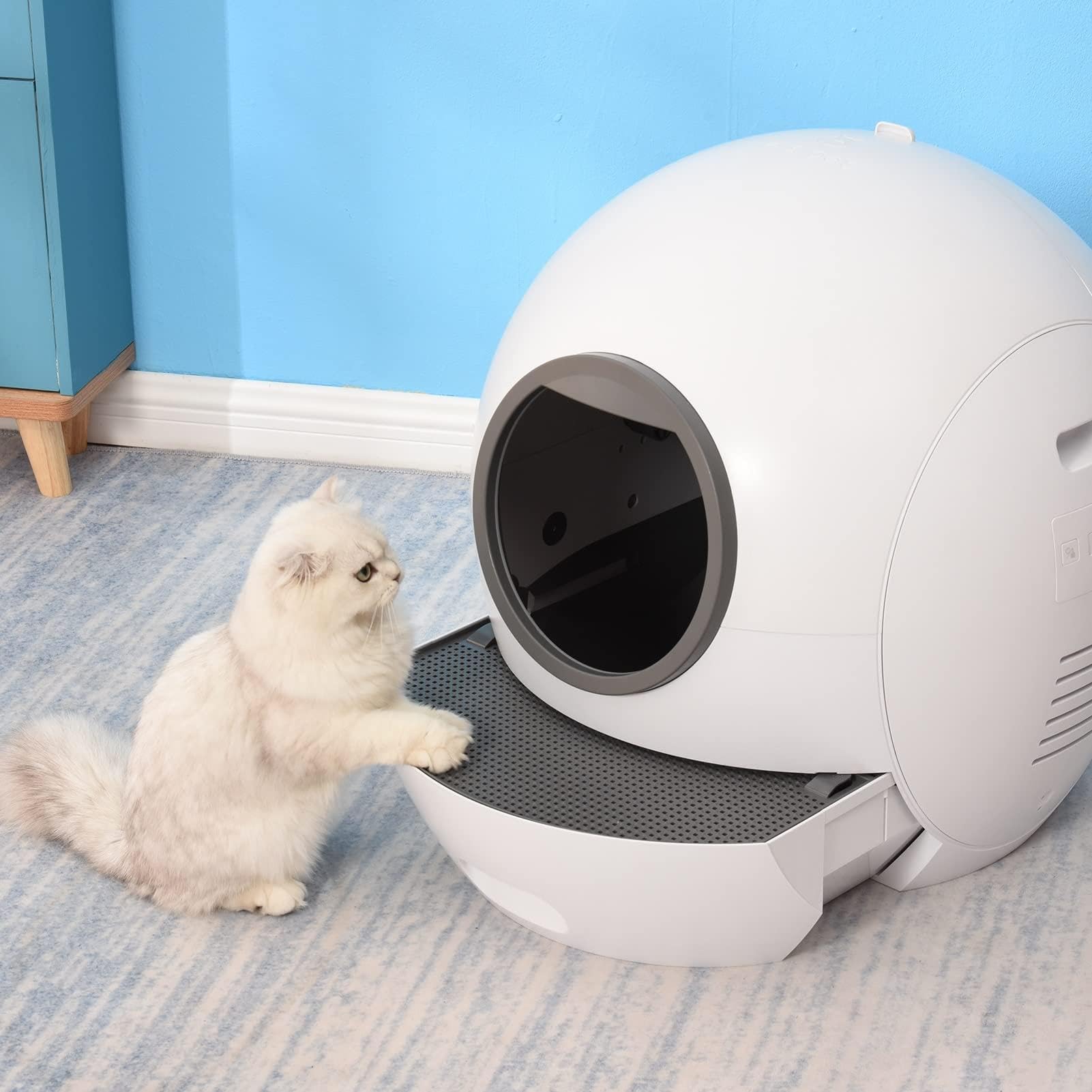 Lettiera per Gatti autopulente, Controllo App, Monitor Intelligente, Adatta a Tutti i Tipi di Gatti, rimozione degli odori, Facile da smontare e Lavare