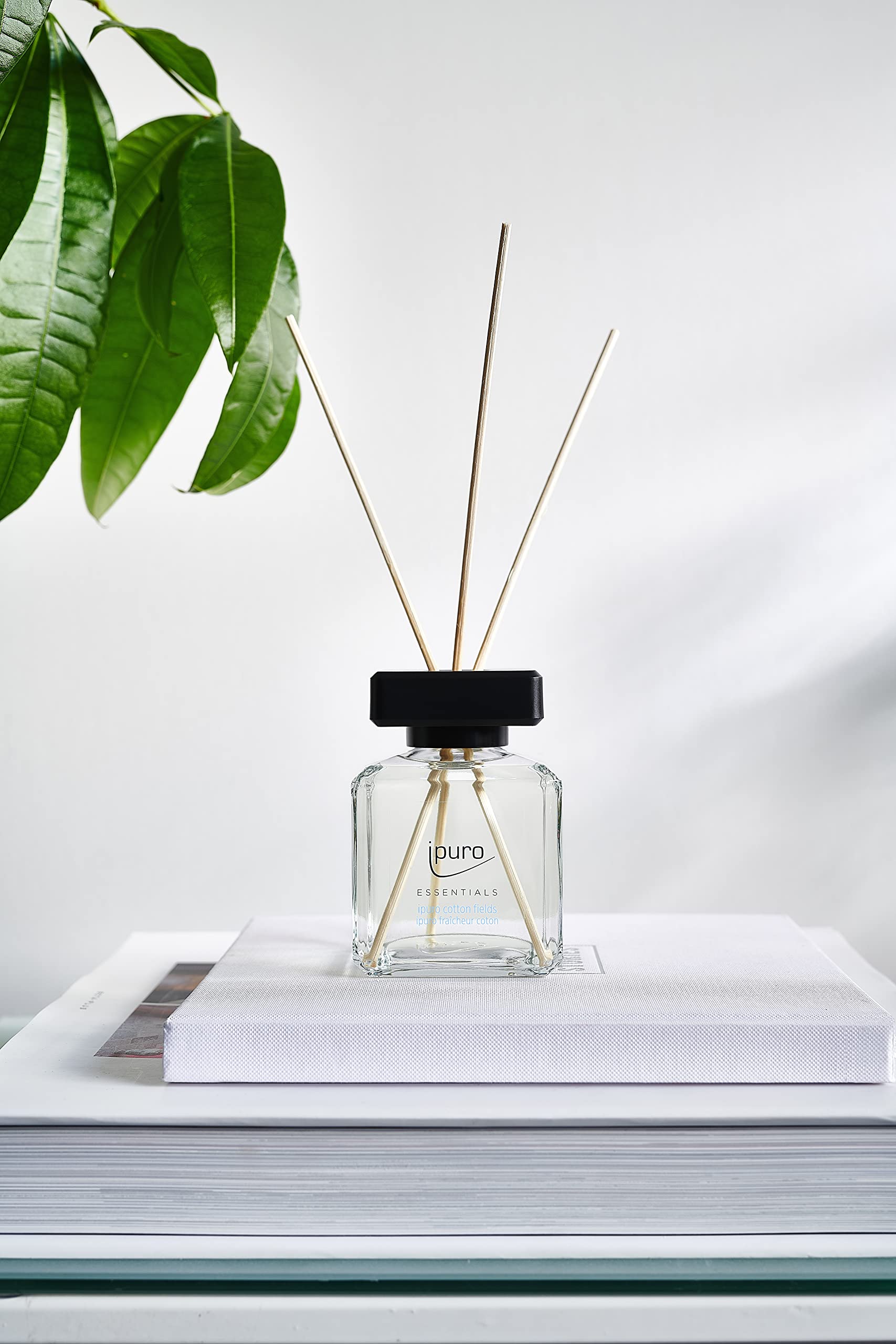 ipuro - Essentials Cotton Fields Room Fragrance 200 ml | Room Freshener with Star Anise, Vanilla Flower & Geranium, Rose, Violet, Cedar Wood Fragrance Aroma | Diffuser with Sticks | Air Freshener for