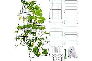 Green Bean Trellis for Raised Garden Bed - Foldable Metal Frame Vegetable Grow Support
