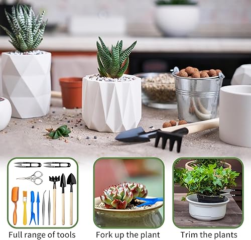 Miniatura 2 de Andiker Mini juego de herramientas de jardín, 12 piezas de herramientas de mano de jardinería portátiles, juego de múltiples herramientas para