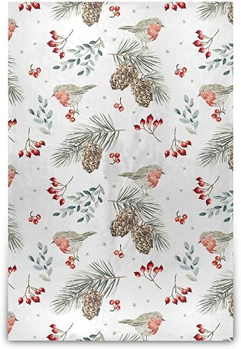 Christmas Pattern Robin Birds Animal Red Microfiber Plush Blanket for Adults Kids, Warm All Season Use Blanket for Travel Picnic 60"x90"