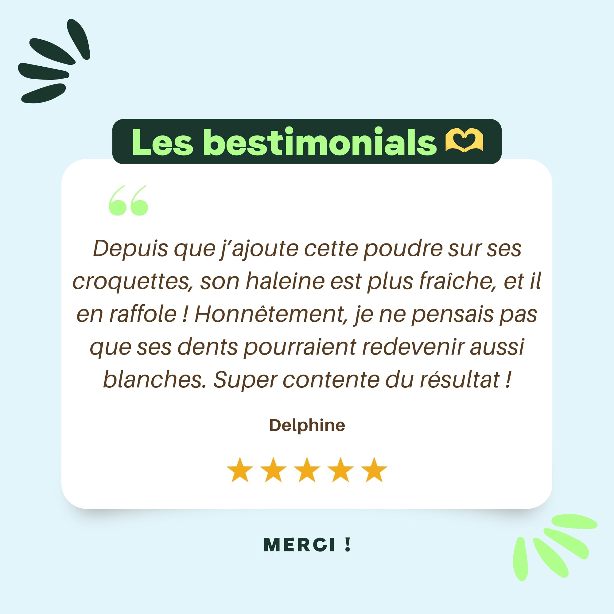 BESTI - Haleine, Dents & Gencives | Poudre Dentaire pour Chiens | Anti-Tartre, Mauvaise Haleine | Pré Post Probiotiques Naturels | Marque Française - Formule Vétérinaire | Eucalyptus | 75 Doses | 150g