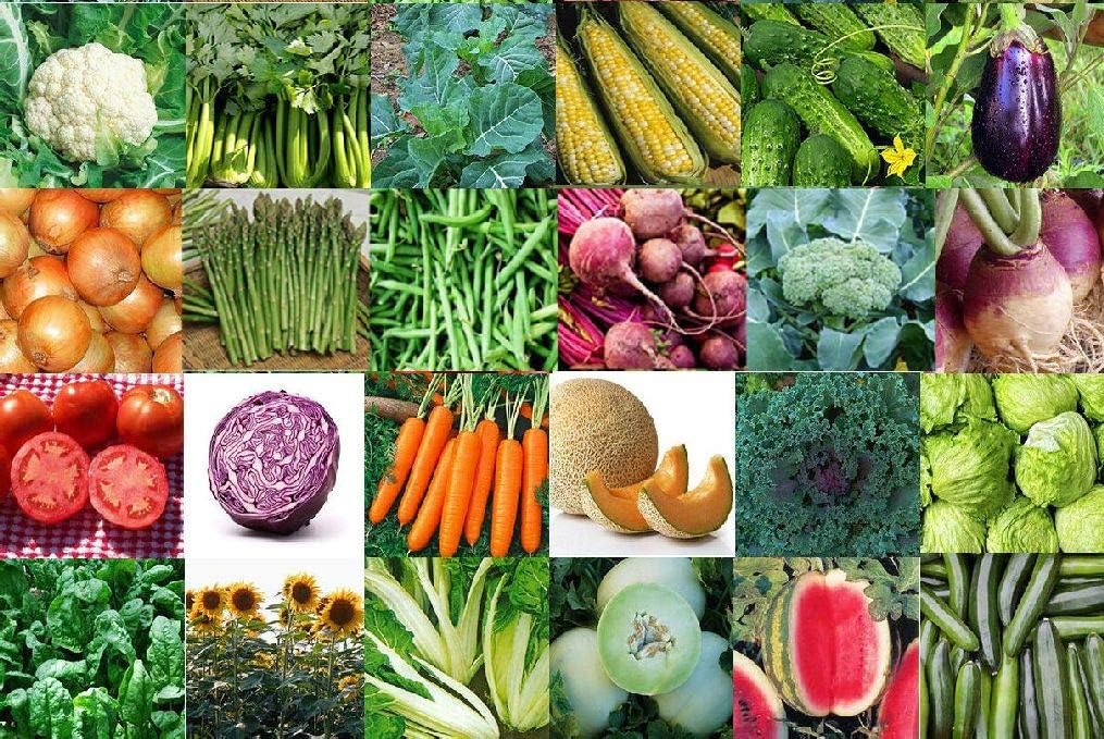 13400 Seed 33 Fruit/Vegetable Variety Pack Non-GMO Heirloom Home Bank Lot