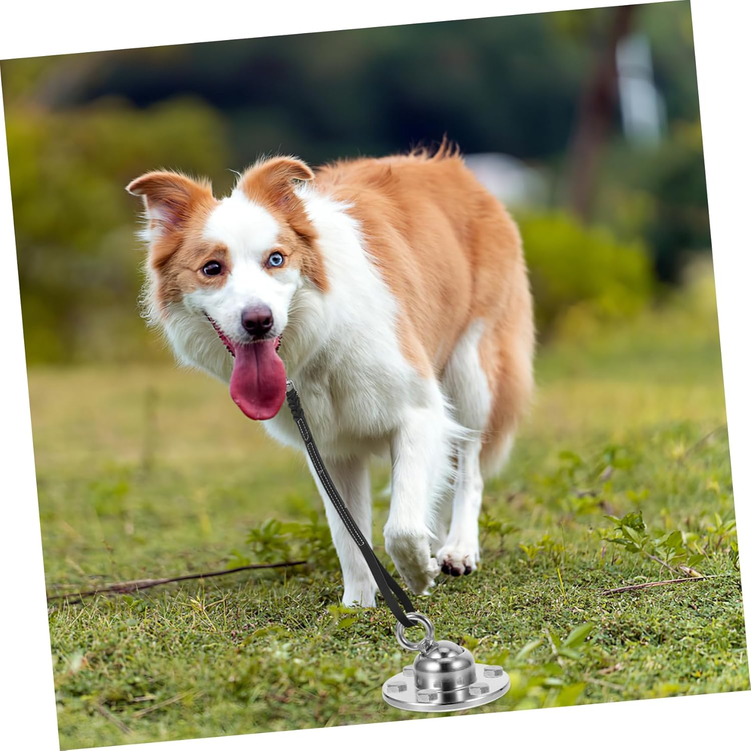 balacoo Rotating Dog Tie Out Stake Heavy Duty Outdoor Dog Ground Stake for Camping Training