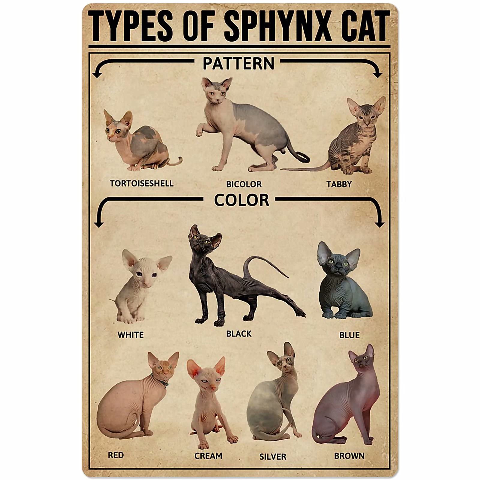 C-02 Types Of Sphynx Cat Posters Retro Wall Decor Metal Signs Popular Science Knowledge Home Decor Animal Room Decor Printed Plaque 12X18 Inches