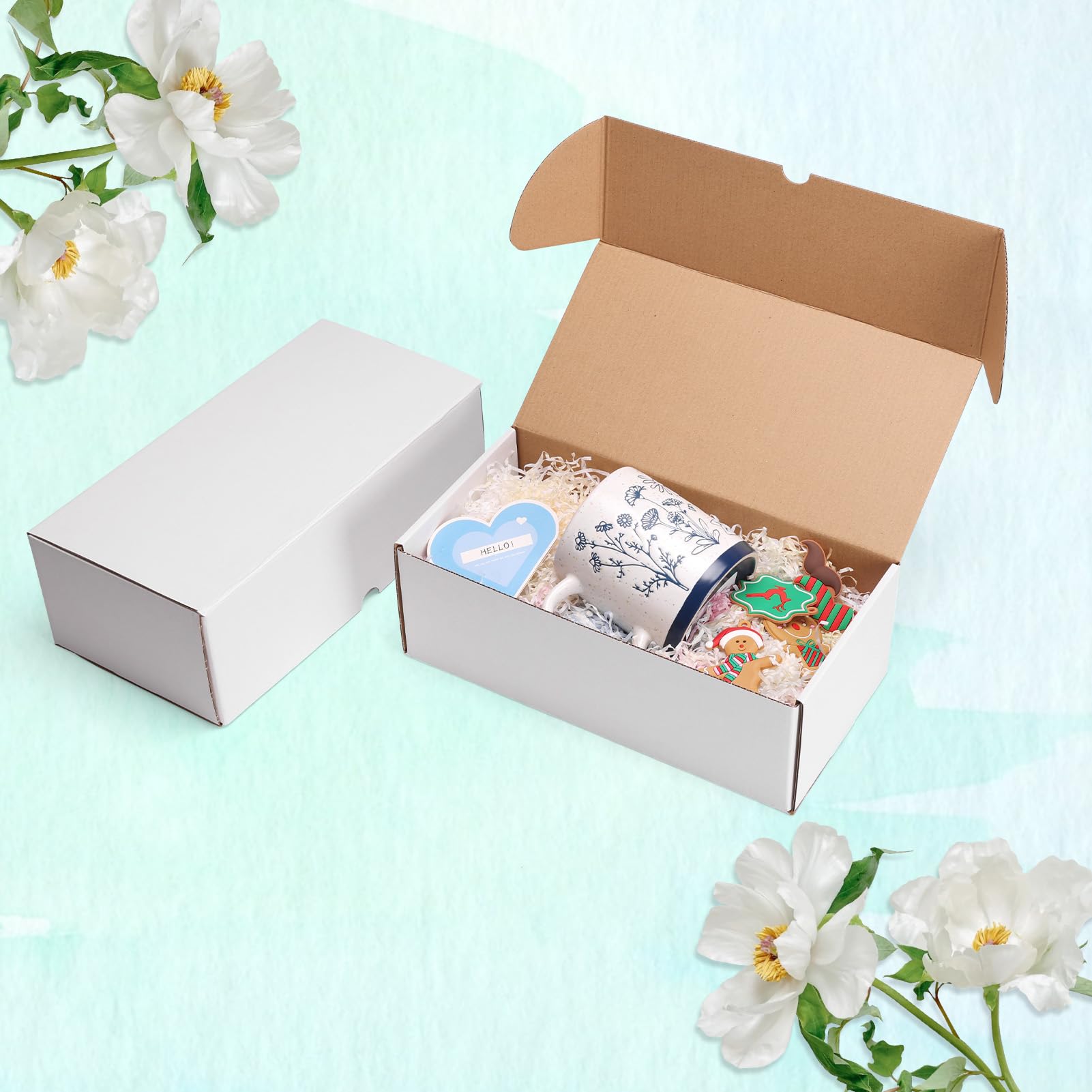 RLAVBL Boite Carton Expédition 30.5x15.3x10.2 cm, Lot de 25 Boites Carton en Blanche