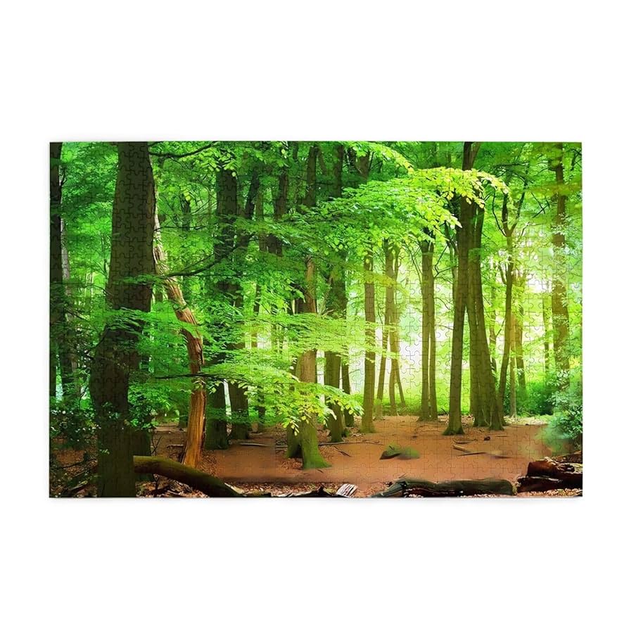 自然風景 ジグソーパズル 木製フレーム 完成 完成品 1000ピース 森林 自然風景 ジグソーパズル 木製フレーム 完成 完成品 1000ピース