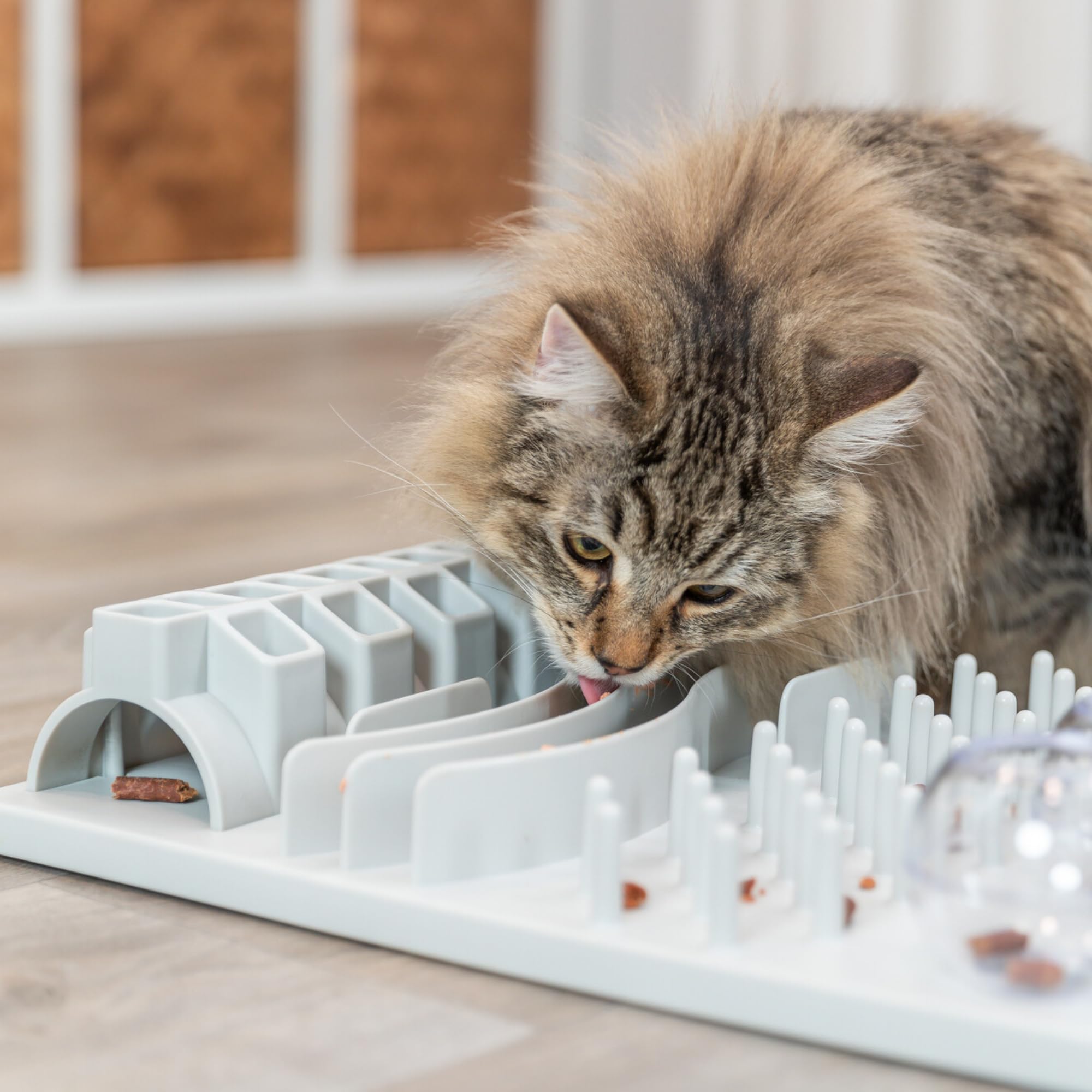 TRIXIE Cat Activity Fun Board – jouet d'intelligence interactif pour chat – jeu de stratégie pour la stimulation mentale, la réflexion & l'apprentissage – 30 × 40 cm