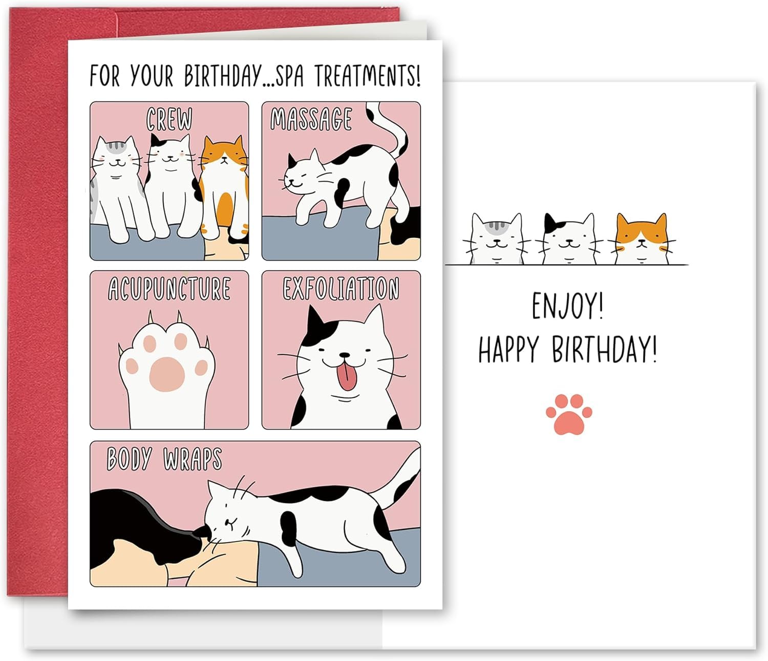 Hilarious Cat Spa Birthday Card, Funny Kitty Bday Greeting Card with Massage & Acupuncture Puns, Gift for Women, Wife, Cat Lady & Best Friend