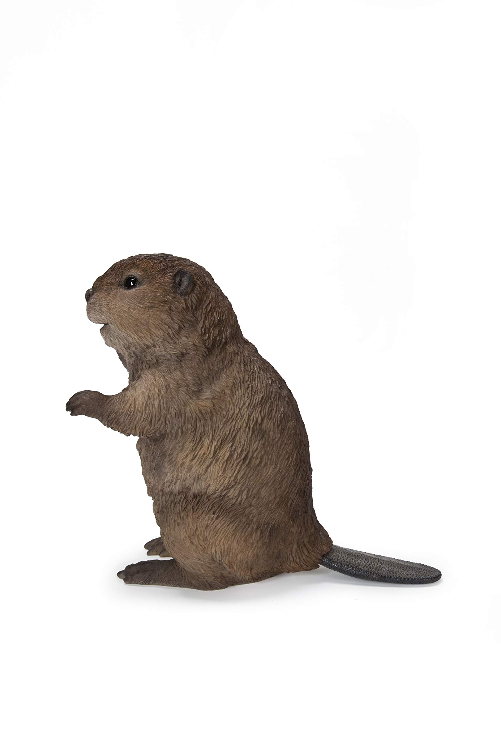 Hi-Line Gift Ltd. AMERICAN BEAVER CUB STANDING STATUE, Brown, 5.43 x 6.3 x 5.43 inches - Image 3