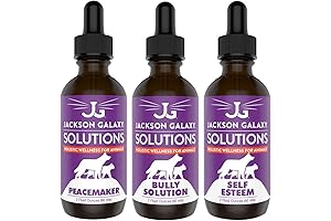 Jackson Galaxy Ultimate Peacemaker Set for Felines