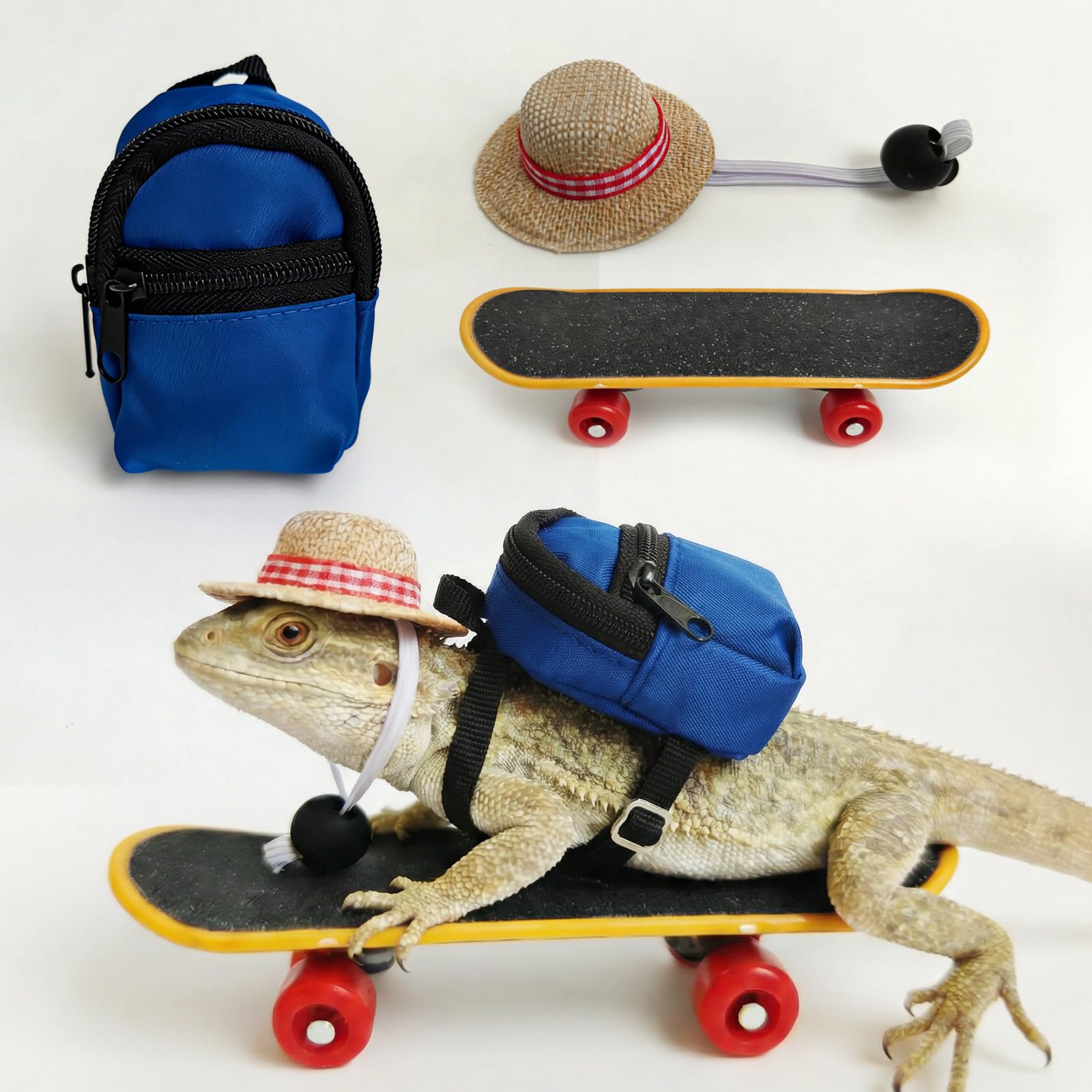 CQJ 3 Pack bearded dragon toy set includes a bearded dragon backpack, an adjustable hat, and a mini skateboard toy, for small reptile pets such as lizards, hamsters, parrots, and turtles. (Blue)