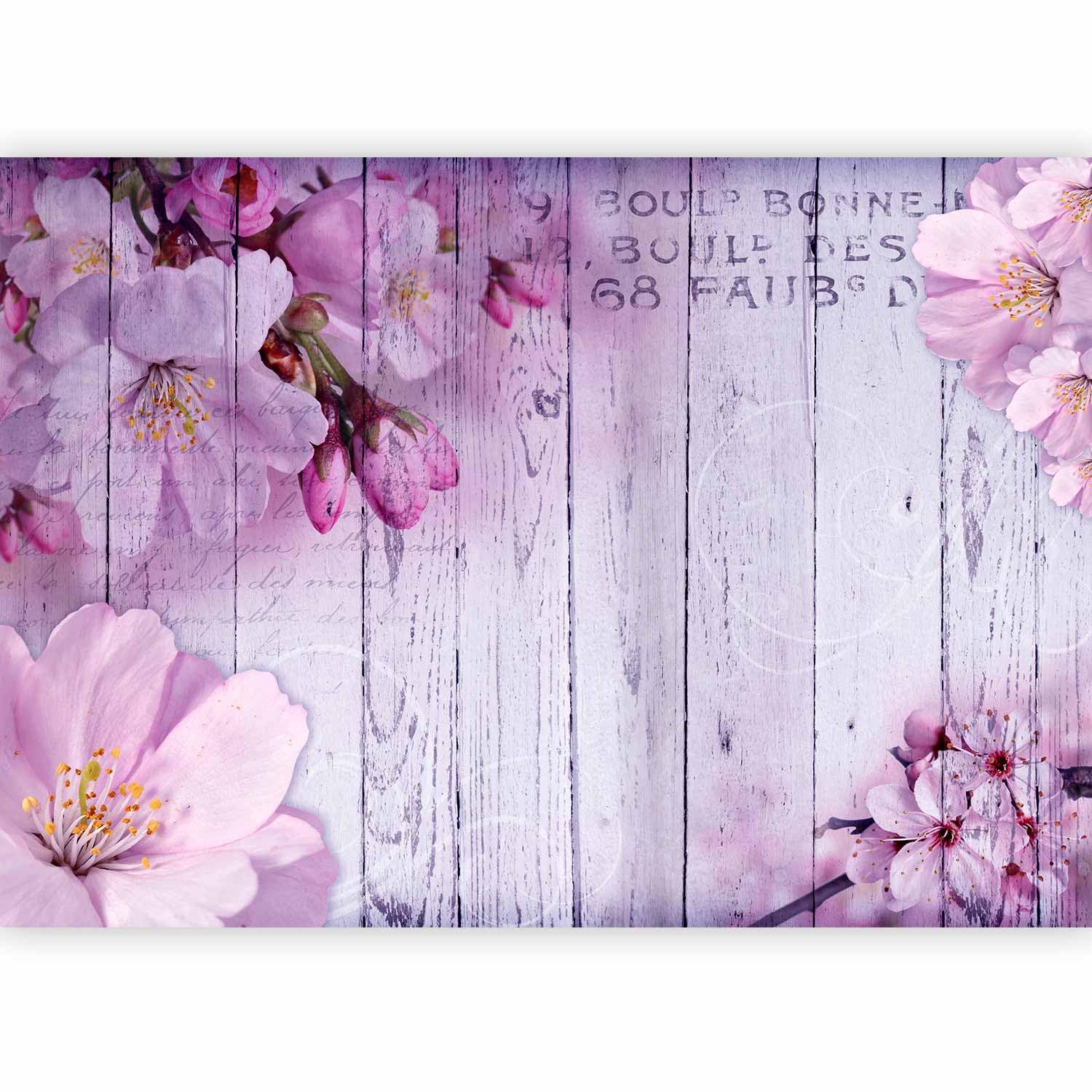 Fotomurales B&D XXL - 400x280 cm XXL Papel pintado tejido no tejido Decoración de Pared decorativos Murales moderna Diseno Fotográfico flores Juntas b-a-0202-a-c