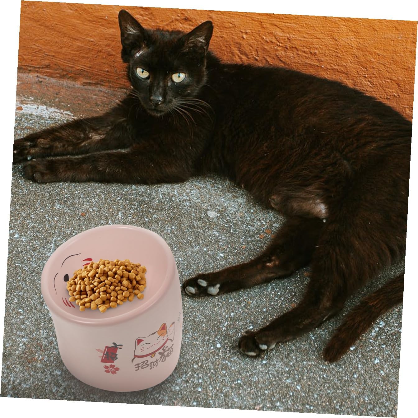 BESTonZON Ceramic Cat Bowl Non-Slip Elevated Pet Feeding Dish with Puppy Base Pink for Spill-Resistant Water and Food Bowls