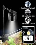 Réservoir à poisson, 3 Gallon Ultra-Clear Glass Fish Aquarium, avec plaque de séparateur pour Betta, kit de démarrage de réservoir de poisson avec filtre et lumière à LED réglable, blanc