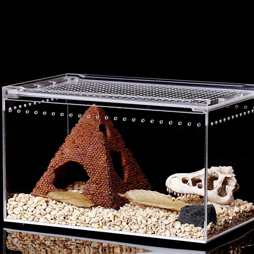 Terrarium dla gadów, duże pudełko do karmienia do małego domowego biura