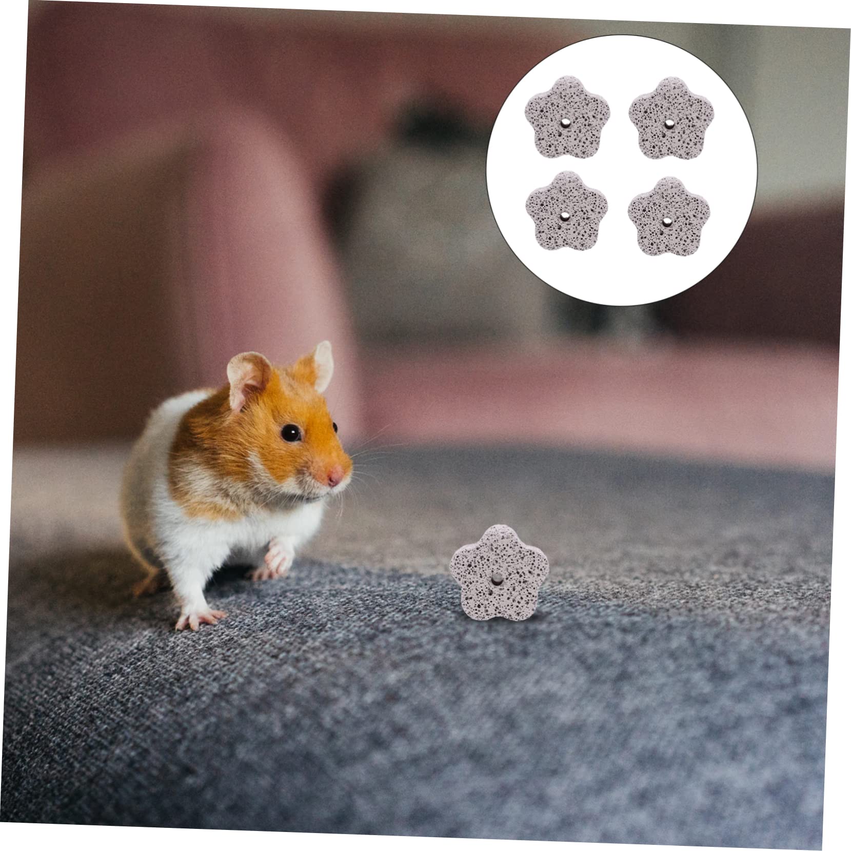 Beavorty 36stücke Shaped Calcium Chew Toy Für Hamster Und Ratten Nagenstein Zahnpflege Natürlich Und Langlebig Fördert Gesunde Zähne Und Verhindert Möbelbeschädigungen