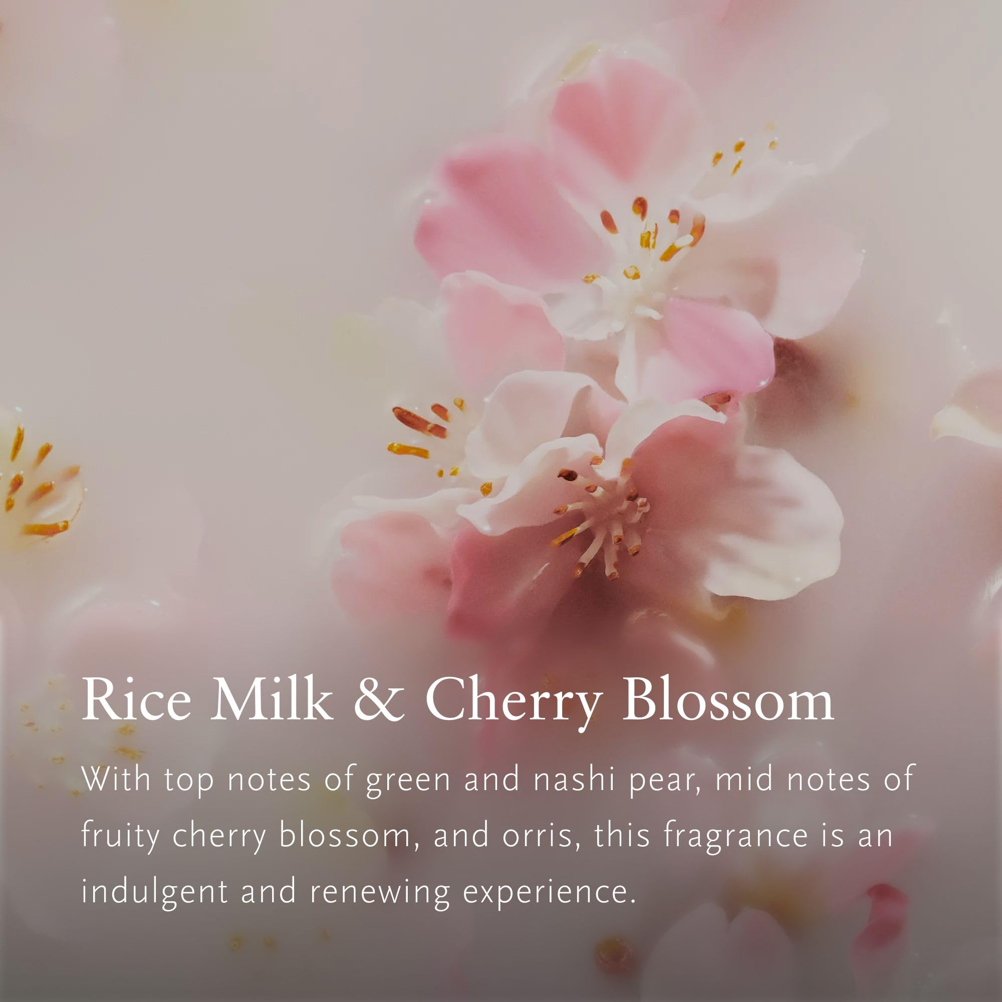 RITUALS The Ritual of Sakura – Profumatore per Ambienti con Bastoncini in Set da 2 – Diffusore Ambiente ai Fiori di ciliegio e al Latte di Riso – Diffusore aromi con Stick profumati – 2 x 250 ml