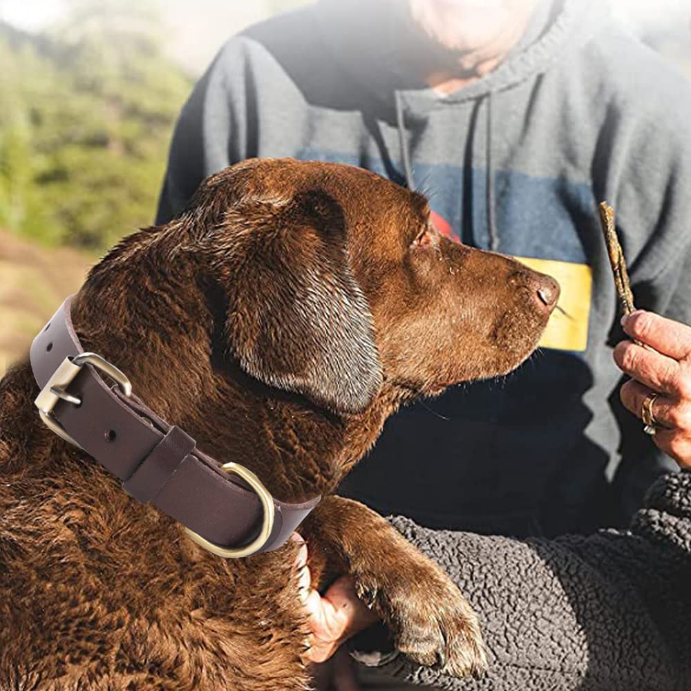 Collare Hermitage In Vera Pelle Marrone E Ocra - Foto 5
