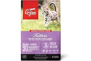 ORIJEN Cat & Kitten Dry Cat Food Grain-Free, 4 lb
