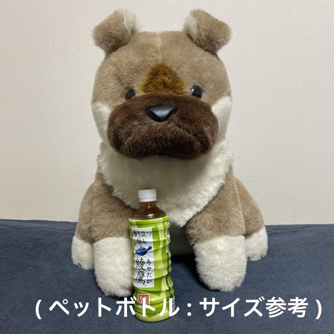 モックハウス ぬいぐるみ セット MOC HOUSE キツネ ぬいぐるみ セット - メルカリ