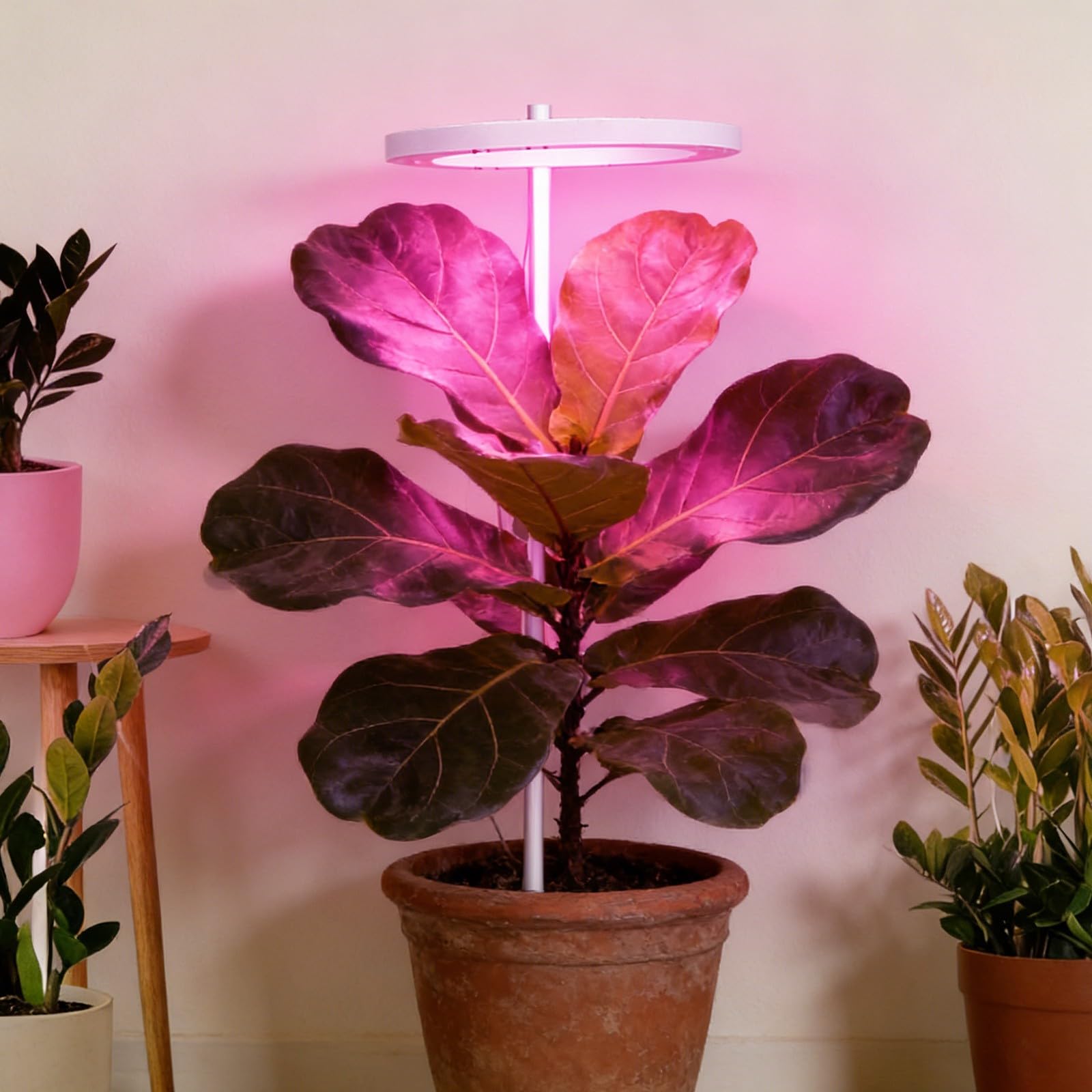 Luces LED de cultivo para plantas de interior, lámpara de cultivo de plántulas de interior de ahorro de energía, temporizador inteligente con 5 niveles de brillo, diseño de 2 cabezales para uso debajo