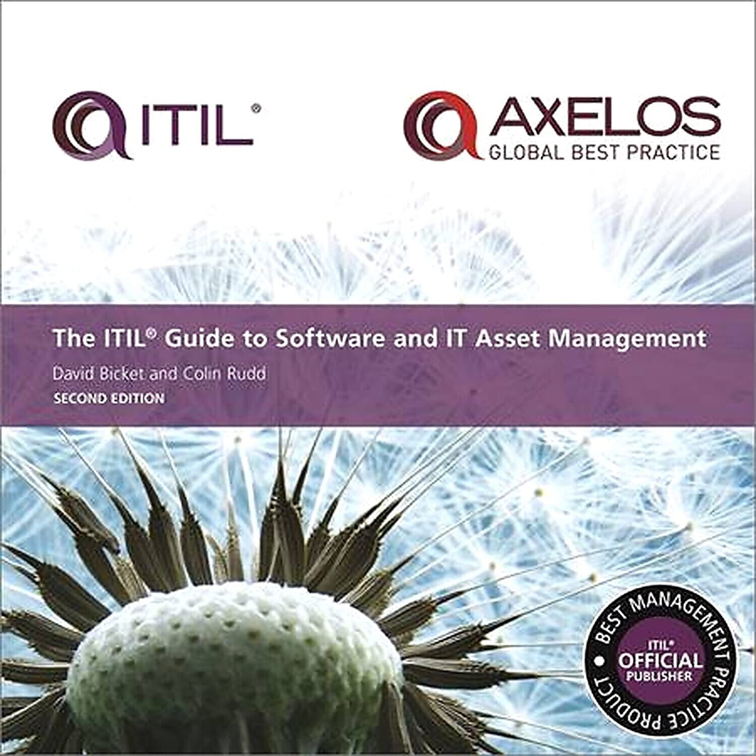 Itil Guide to Software and It Asset Management (Itil V3)
