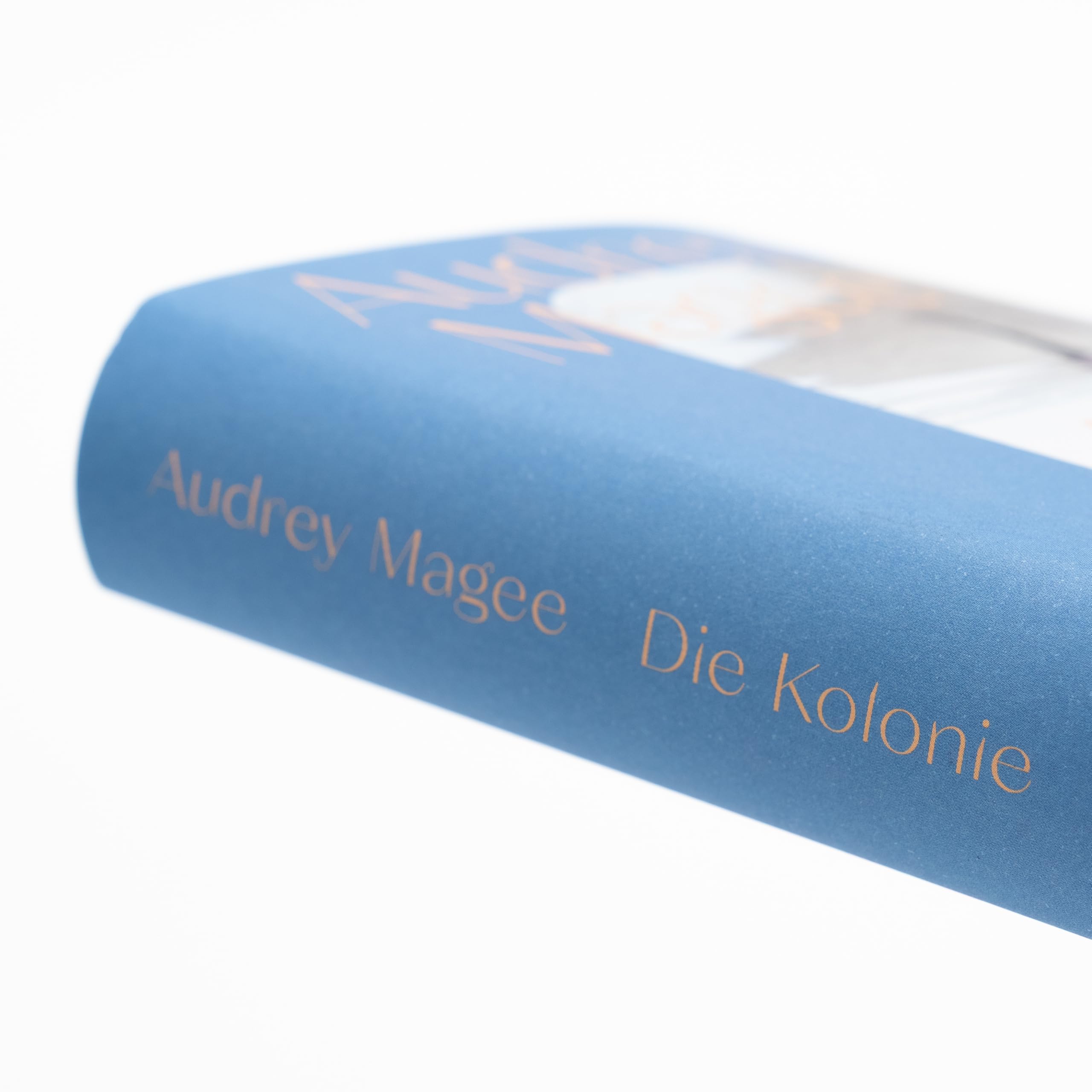 Die Kolonie: Roman | Longlist des Booker Prize 2022 | Nordirlandkonflikt | IRA | Familie | Kolonialismus
