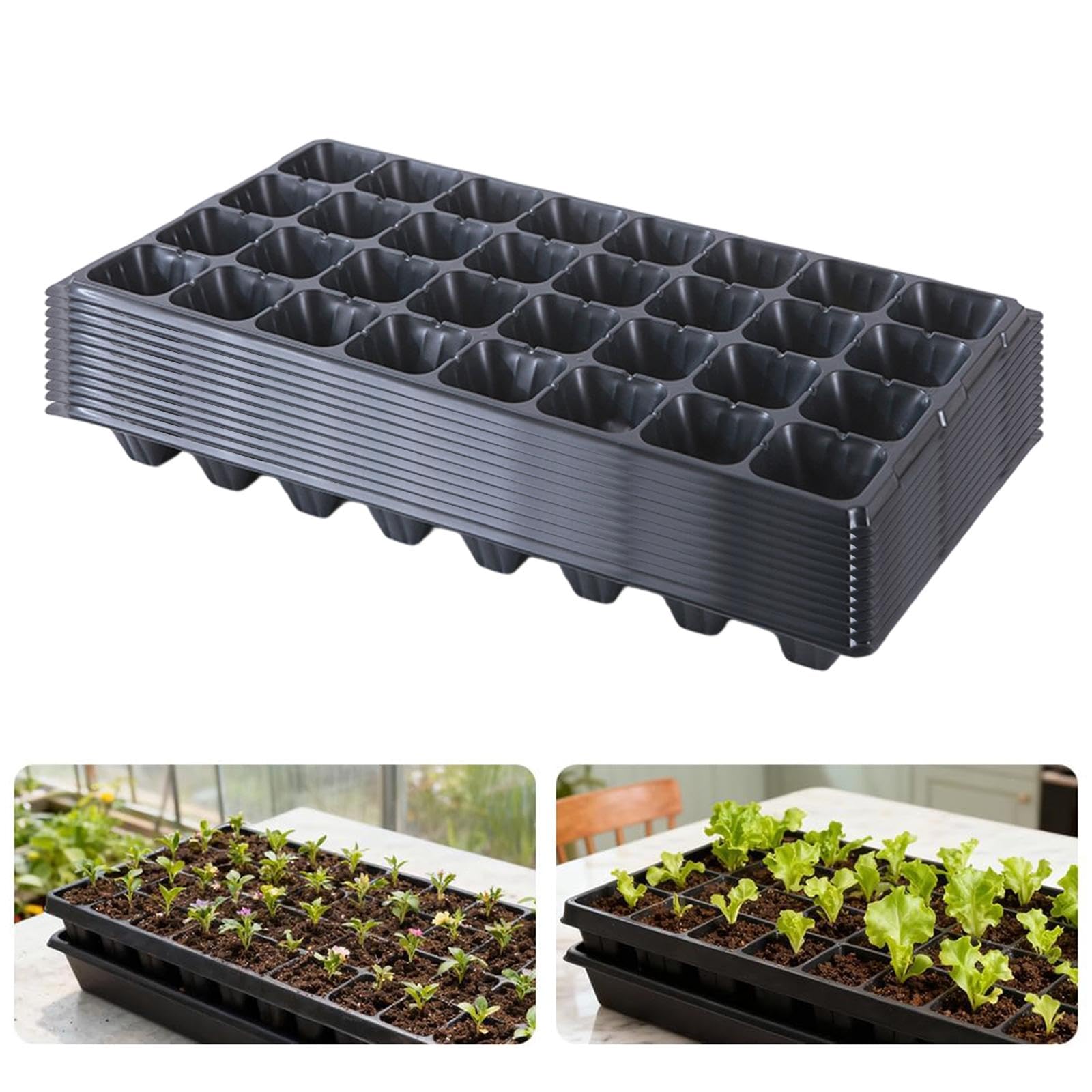 12 Pezzi Vaschette per Piantine Vassoi Germinazione Multi Griglia Vassoi Avviamento Semi per Microgreens Propagatori in PP Resistente Adatte a, 32 Celle
