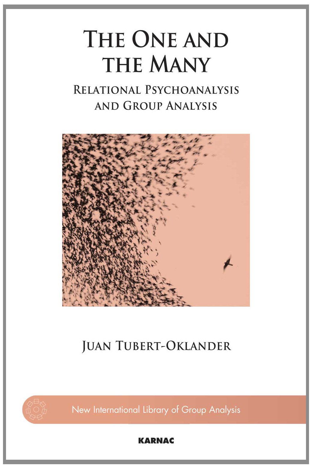 The One and the Many: Relational Psychoanalysis and Group Analysis (The New International Library of Group Analysis)