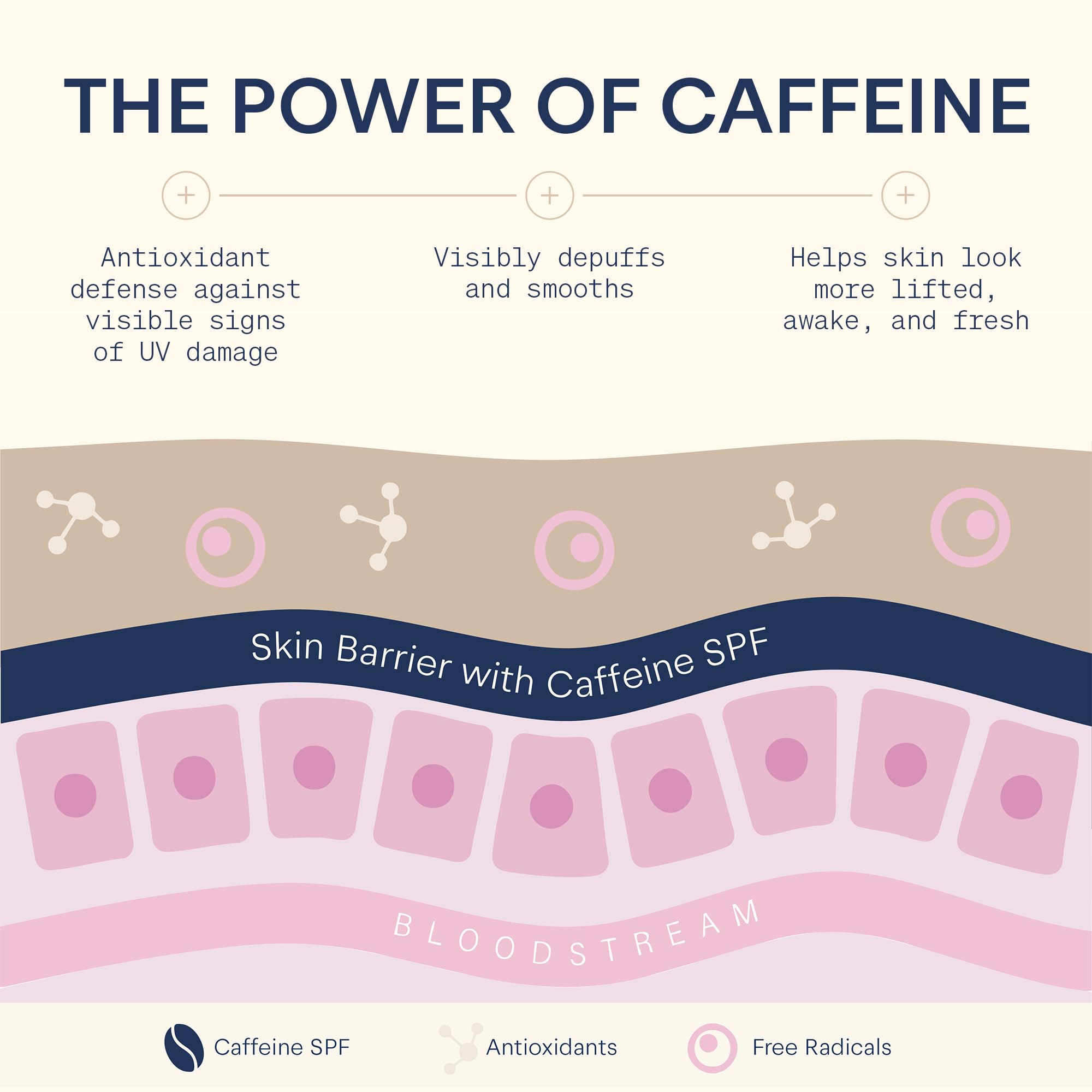 The Skinny Confidential Caffeinated Mineral Sunscreen, SPF 40 - Fragrance-Free Face Sunscreen with No White Cast - Non-Greasy & Lightweight Sun Screen Lotion Reduce Wrinkles, Redness & Puffiness