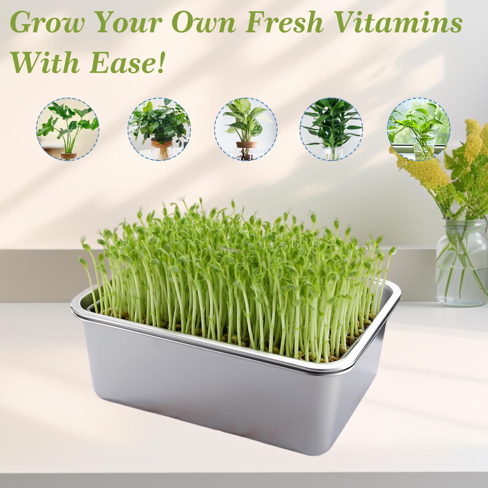 Kit de Germination 2 Pièces en Acier Inoxydable, Plaques de Germination 32x22cm avec Tamis Fin – Bacs de Culture pour Microgreens, Germoir Sans Terre pour Cresson, Luzerne, Haricots – Lave-vaisselle