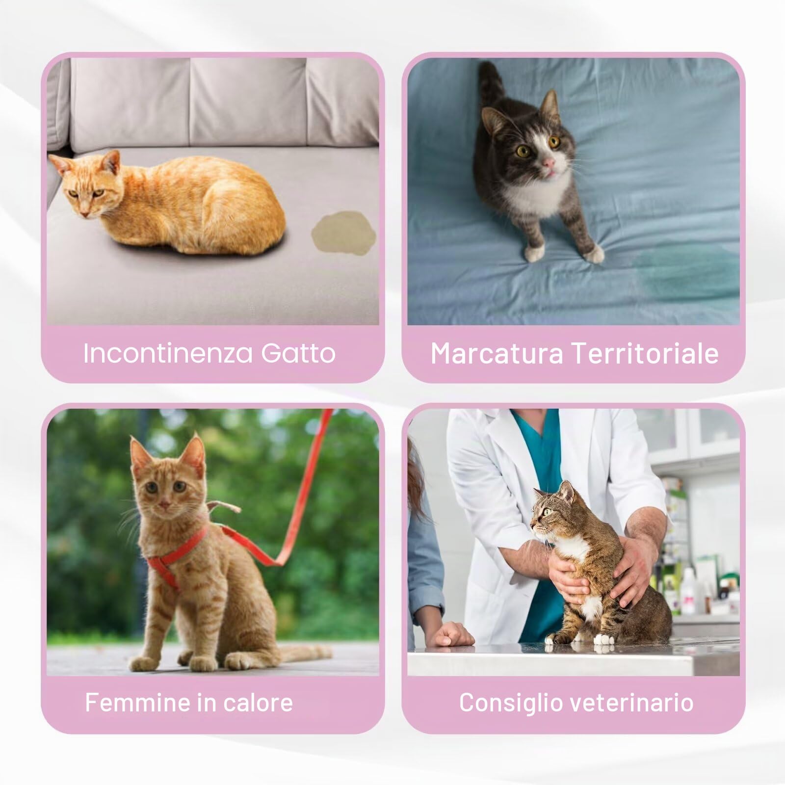 Paw Legend Pannolini per gatti lavabili e riutilizzabili, confezione da 3 XS