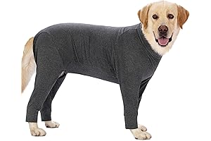 Dog Recovery Suit: Post Surgery Clothing for Dogs