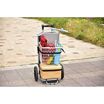 Amazon | バーレー(Burley) サイクルトレーラー クールグレー 荷