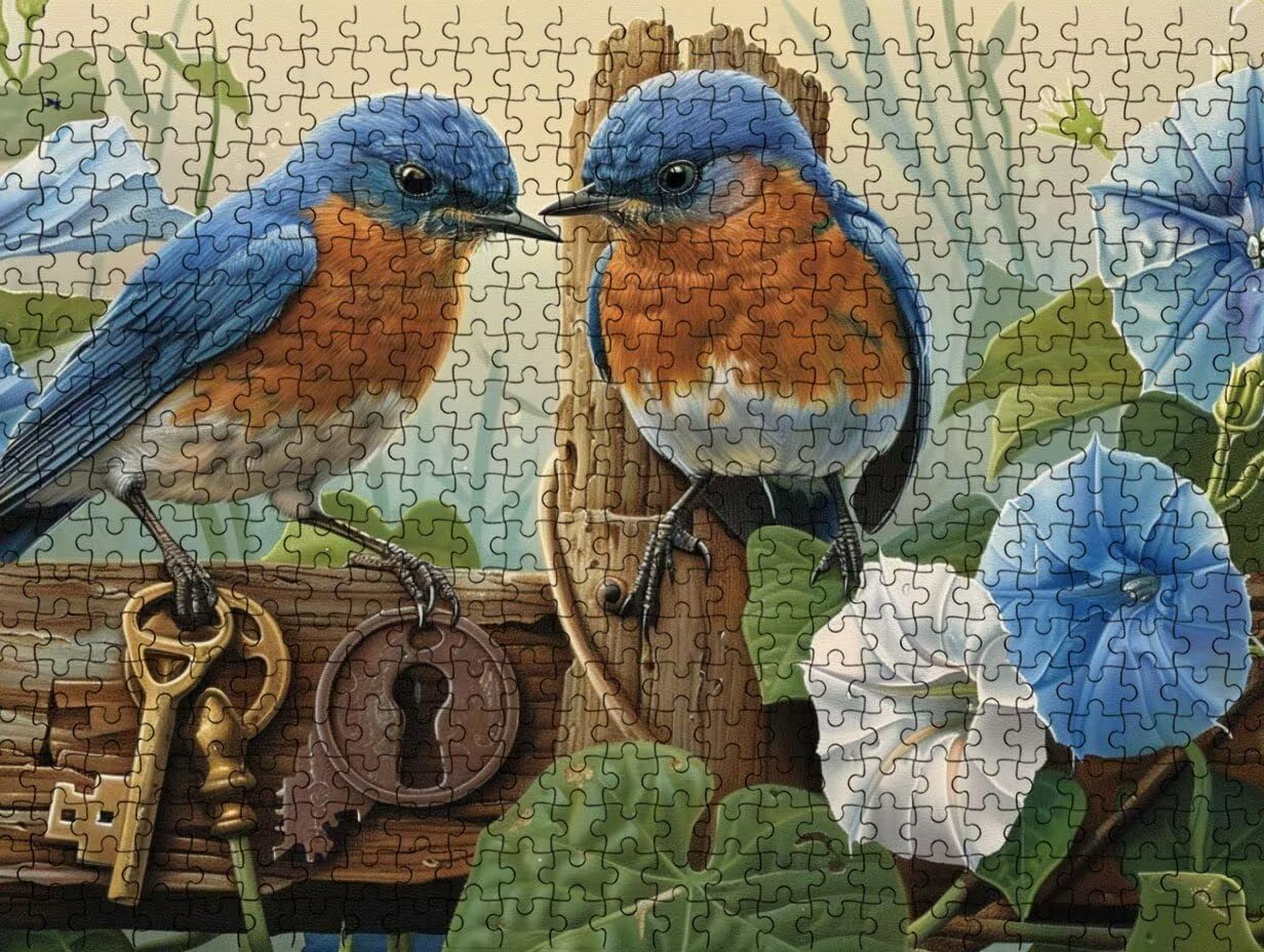 Puzzle 1000 para Adultos, Llave De PáJaro, Rompecabezas Clásicos LDYQS7-456