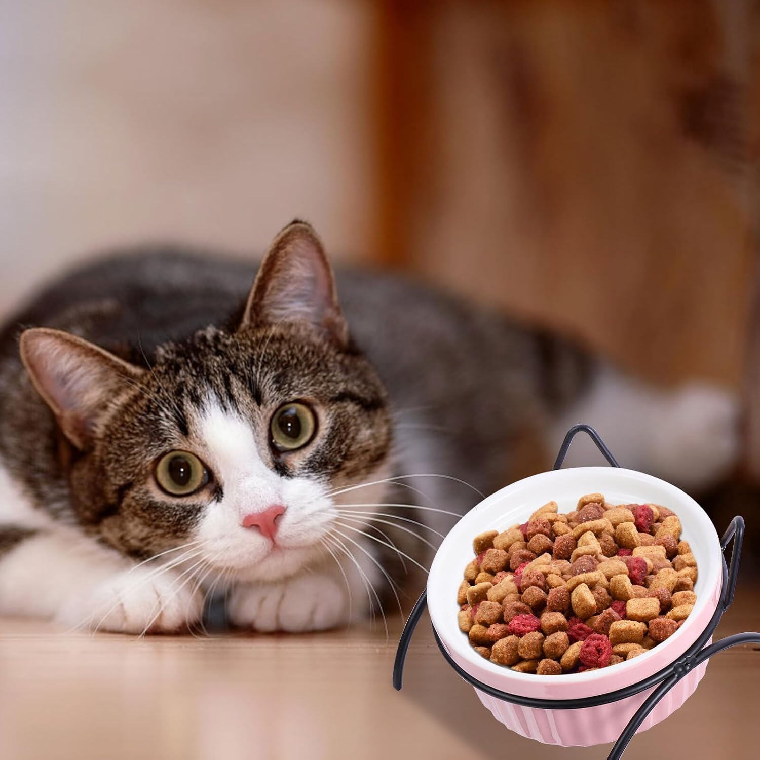 VICASKY Ceramic Cat Bowls with Elevated Metal Stand 4pcs Set Including 2 Food Bowls and Tilted Raised Feeding Dishes for Indoor Cats