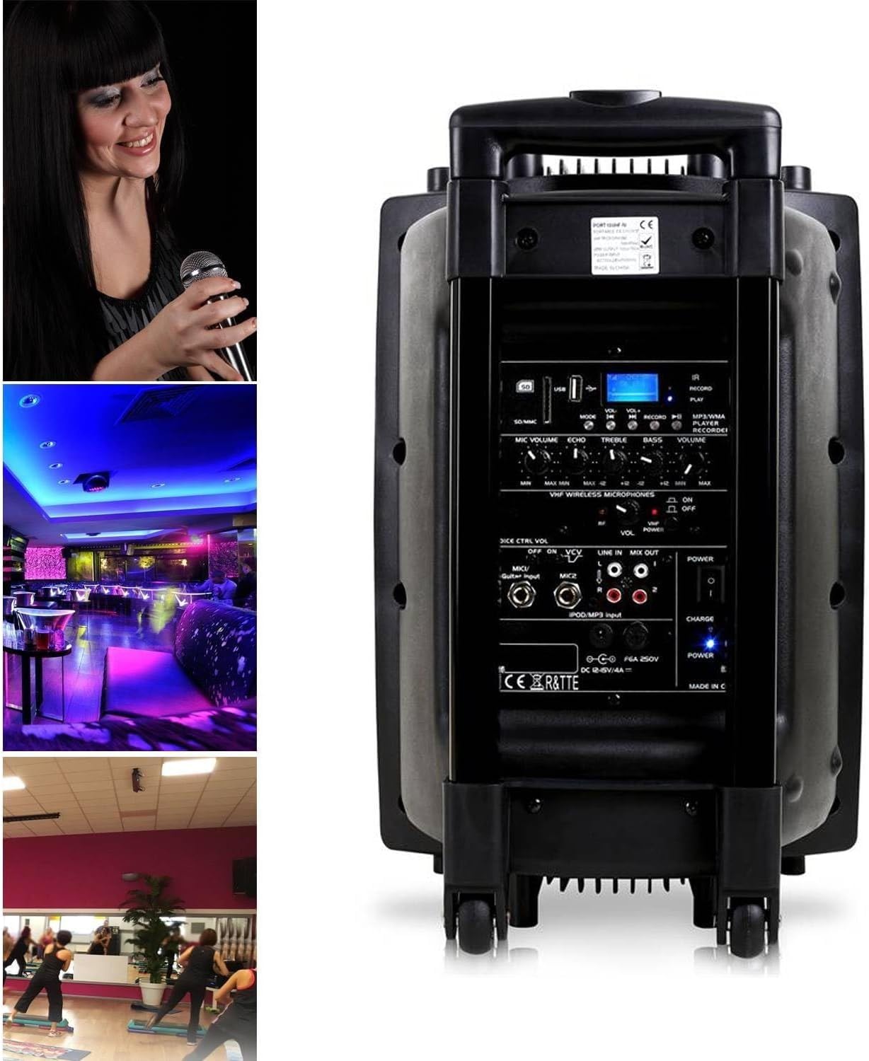 Enceinte Sono Ibiza DJ Portable 15" 800W Autonome Batterie Bluetooth Karaoké 3 Micros VHF Main Tête
