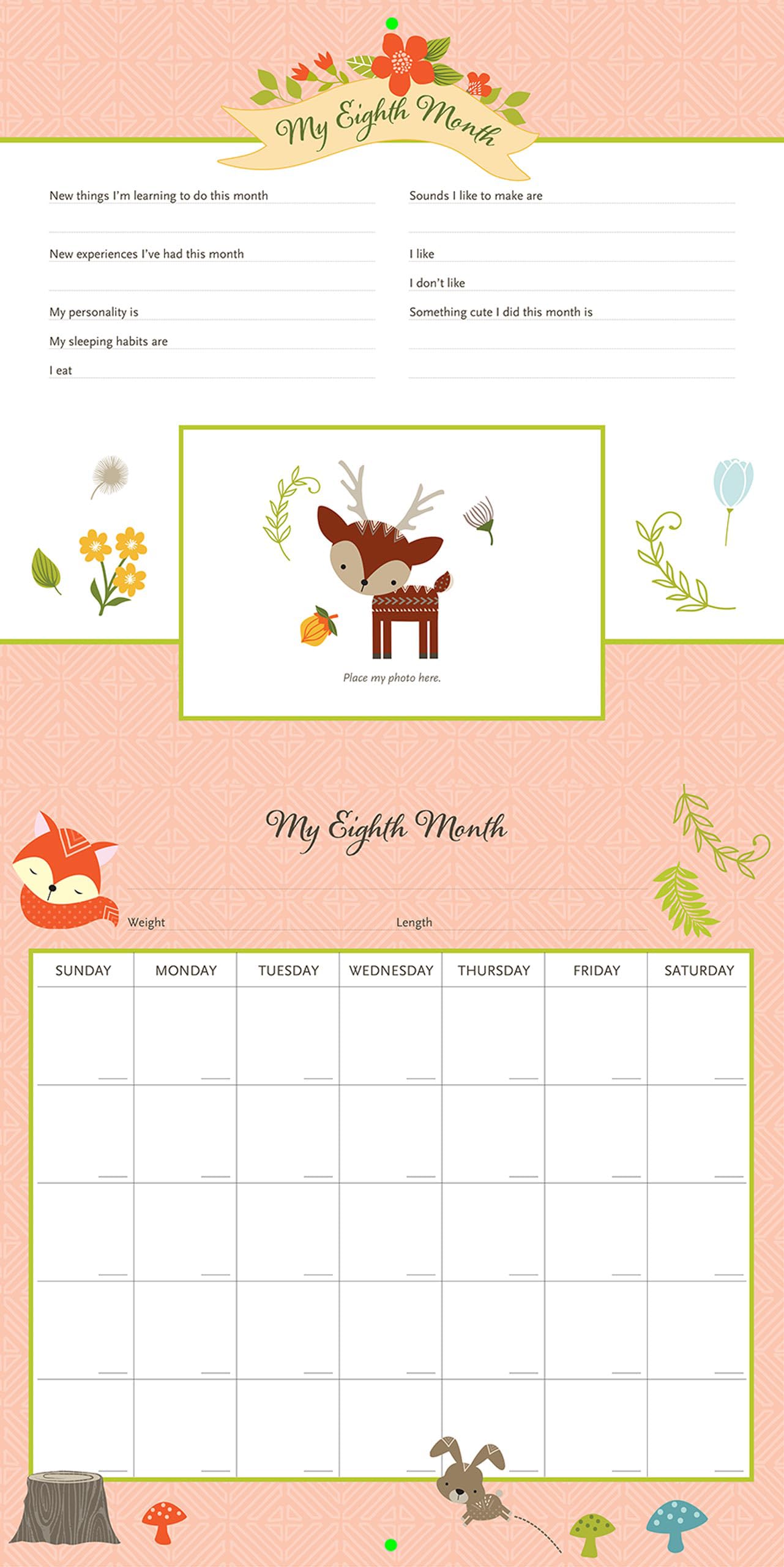 My Life as a Baby: A First-Year Calendar (Woodland Friends), multi, 30.5 cm - Image 2