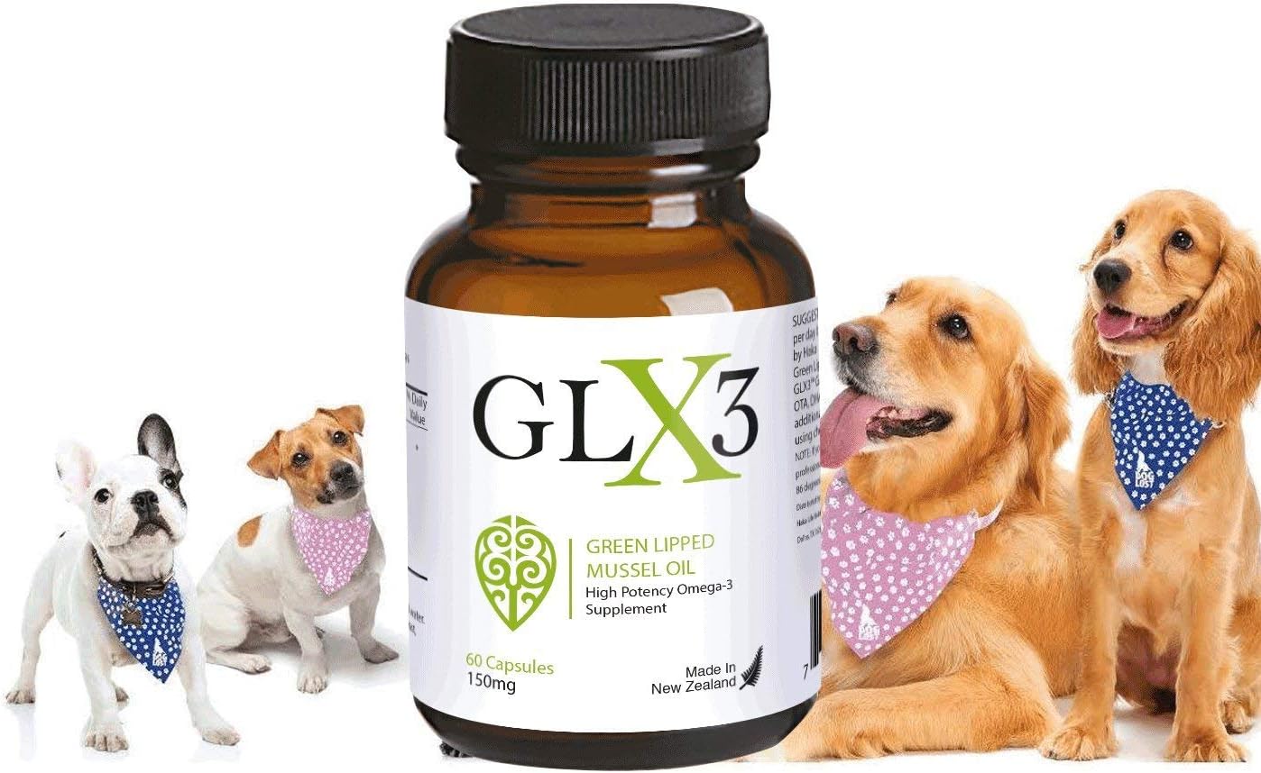 GLX3 Green Lipped Mussel Oil for Dogs | Joint & Hip Comfort Omega-3 Supplement | Ideal for All Dog Breeds and Ages | 1 Month Supply, 60 Gel Capsules w/Natural Ingredients
