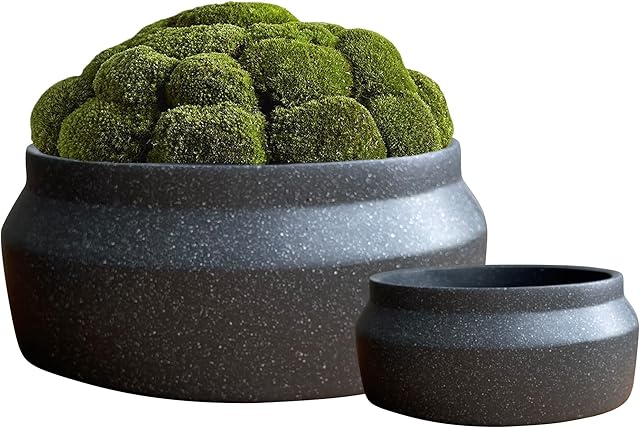 Shallow Plant Pots Set 2 Succulent Plant Pots Round Ceramic Planters Indoor Cactus, Bonsai, Succulents Flower Pots Wide Plant Pot Bowl Indoor Planters
