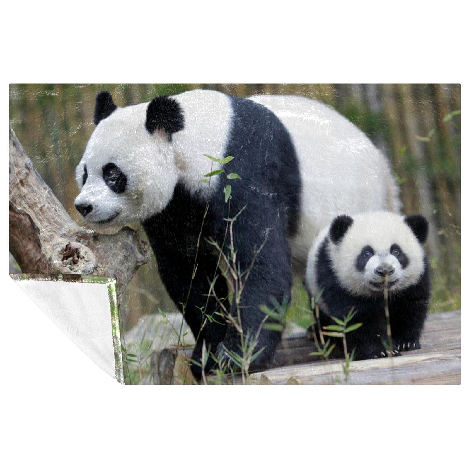 Plaid panda imprimé thermique 150x100 cm couverture douce pour lit et extérieur