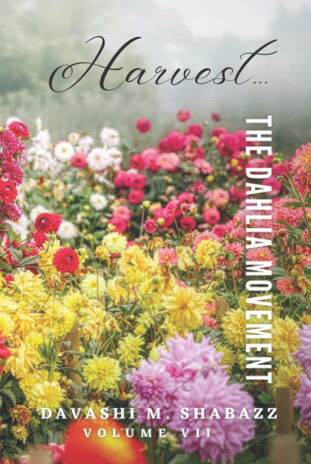 The Dahlia Movement: Harvest: (Black and White Version)