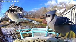 Review Image by Ange Gore