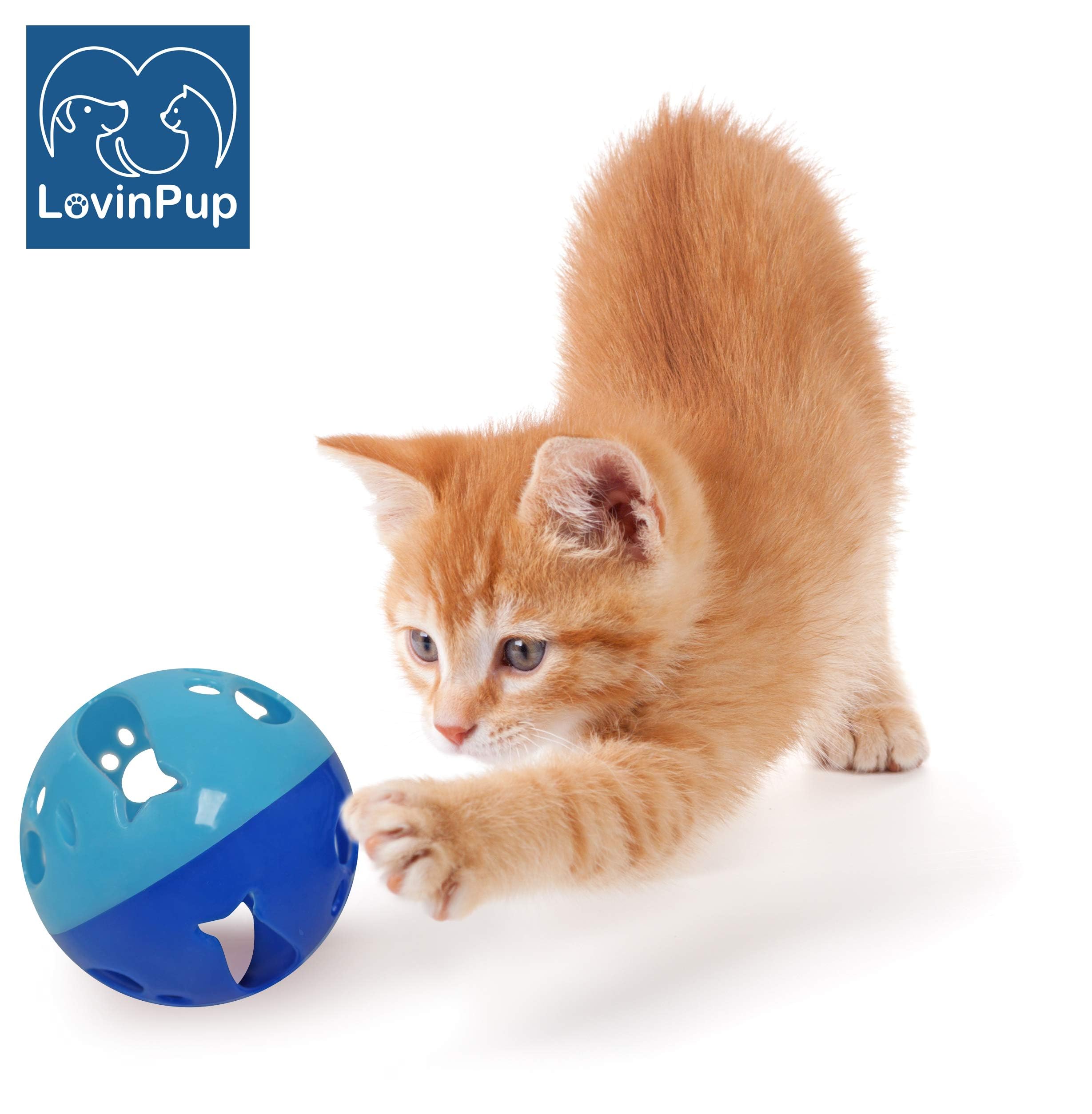 Katzenballspielzeug Spielzeug mit Glocke, größere Größe, Glocken schellen als Bälle, 3er-Pack, Set mit 3 Katzenspielzeug für kleine oder große Katzen oder andere Tiere (blau - 3 Stück)