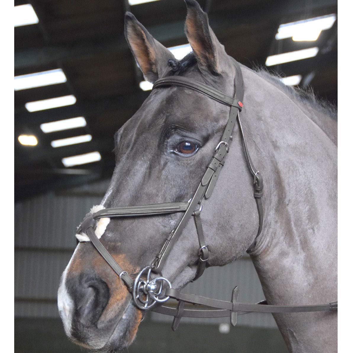 John Whitaker Ready to Ride Mexican Grackle Bridle Extra Full Size Black