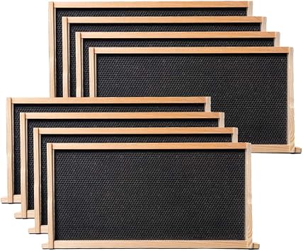 BeeCastle Heavy Wax Coated Langstroth Unassembled Deep/Brood Box with Frames and Beeswax Coated Foundation Sheet (8 Frame)